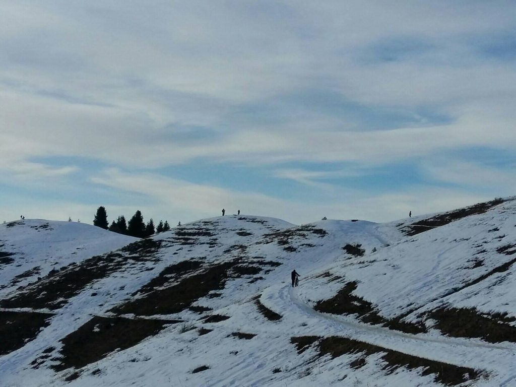 ХОРОШАЯ МИНА ЗАМЕДЛЕННОГО ДЕЙСТВИЯ ПРИ ПЛОХОЙ ИГРЕ – ЛИВЕНЬ